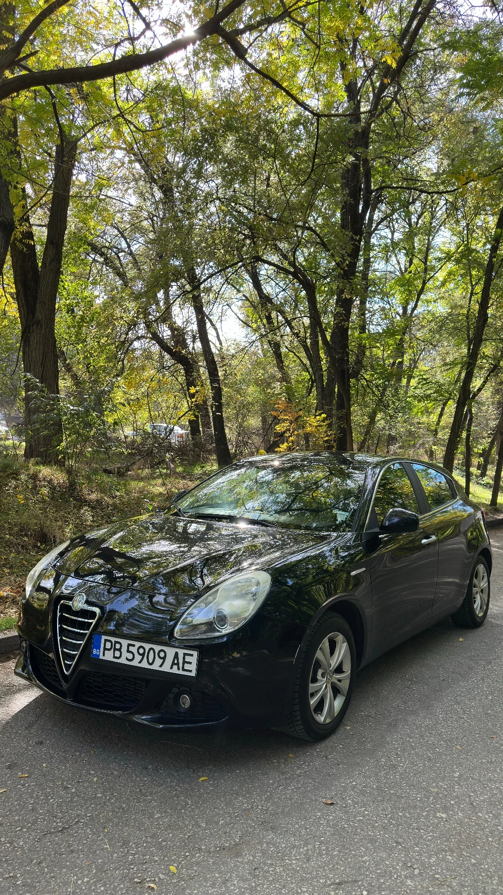 Alfa Romeo Giulietta 1.4 Бензин/Газ 120 коня, снимка 4 - Автомобили и джипове - 53944999