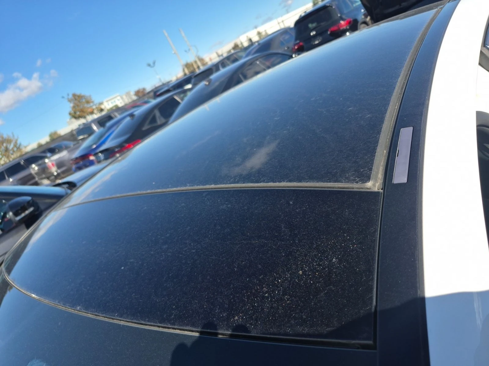 Mercedes-Benz C 43 AMG ���������� ���� �� �������� | Mobile.bg � ����������� 13
