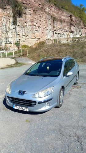 Peugeot 407 SW | Mobile.bg    2