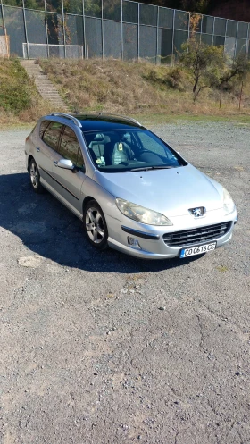     Peugeot 407 SW