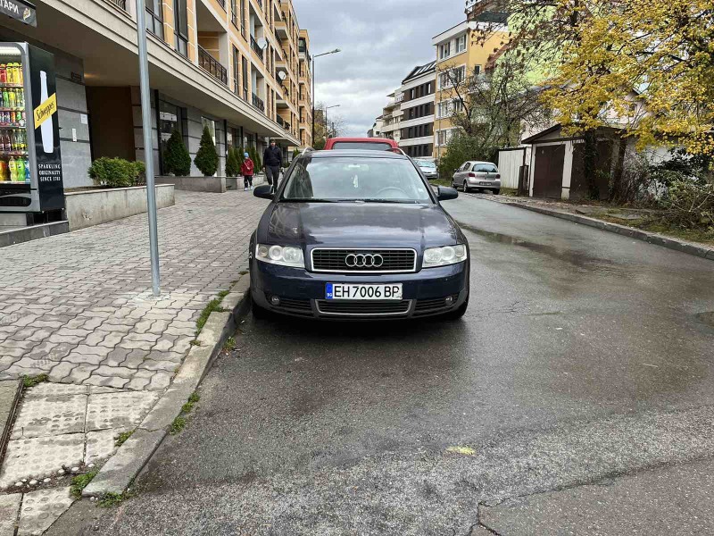 Audi A4 B6, снимка 2 - Автомобили и джипове - 43995077