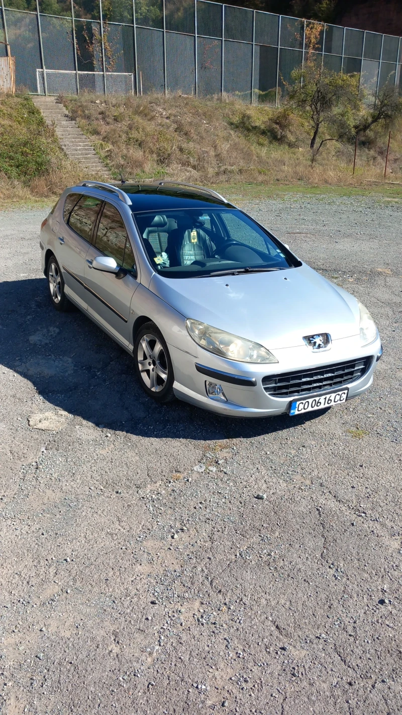 Peugeot 407 SW, снимка 1 - Автомобили и джипове - 48367879