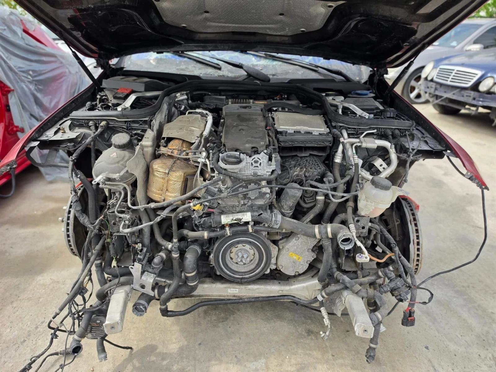 Mercedes-Benz AMG GT 53 4matic + , снимка 5 - Автомобили и джипове - 55032596