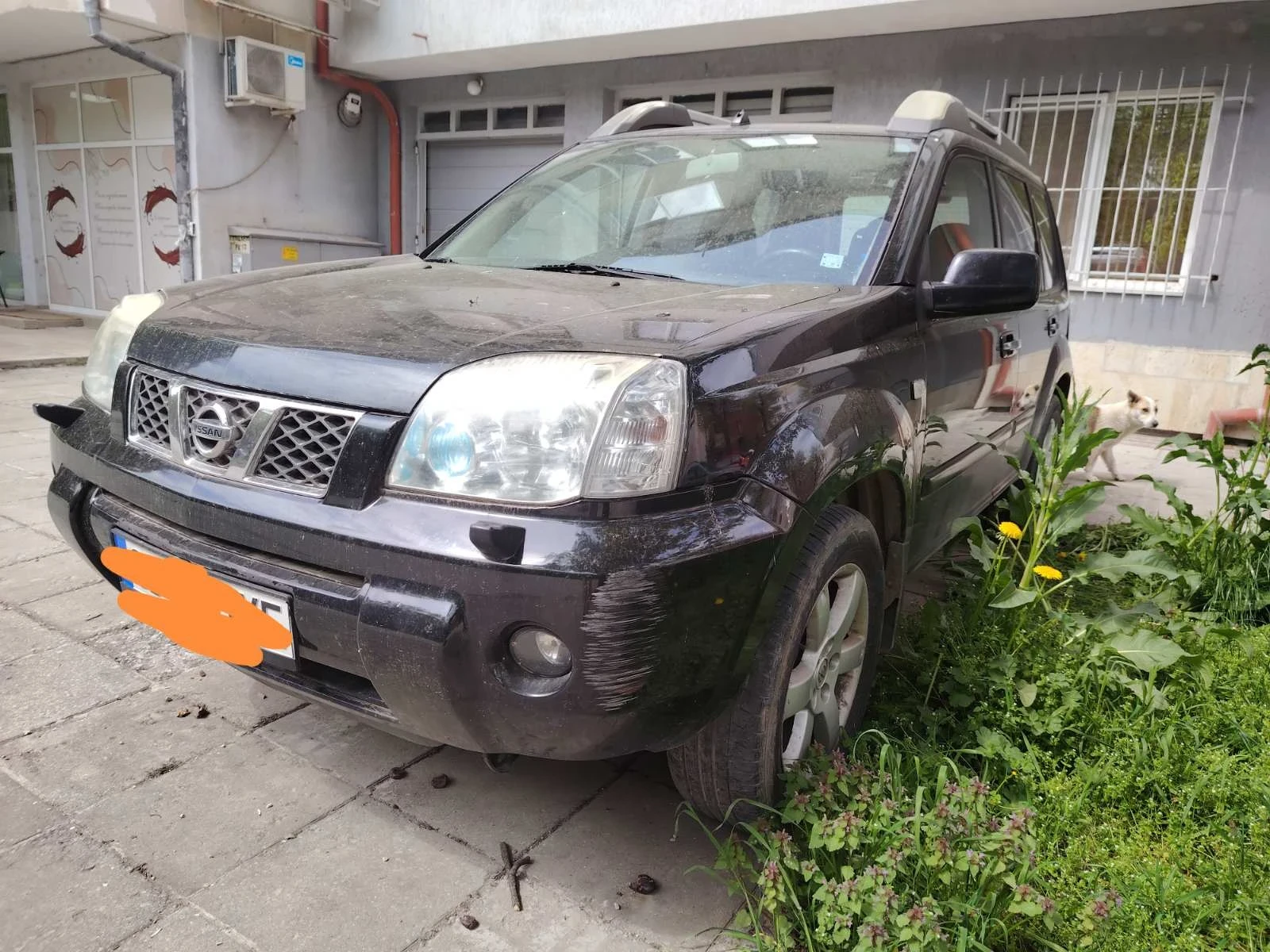 Nissan X-trail, снимка 4 - Автомобили и джипове - 54356503