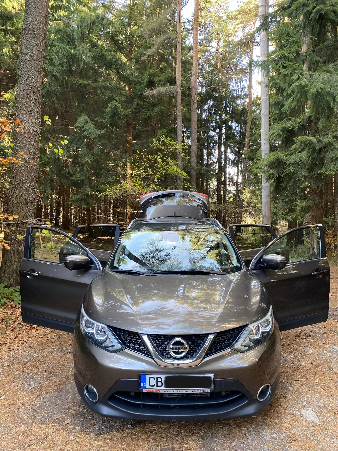 Nissan Qashqai J11