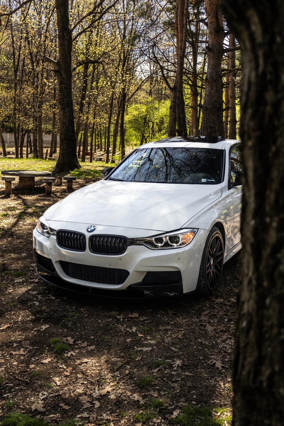 BMW 335, снимка 7 - Автомобили и джипове - 53801440