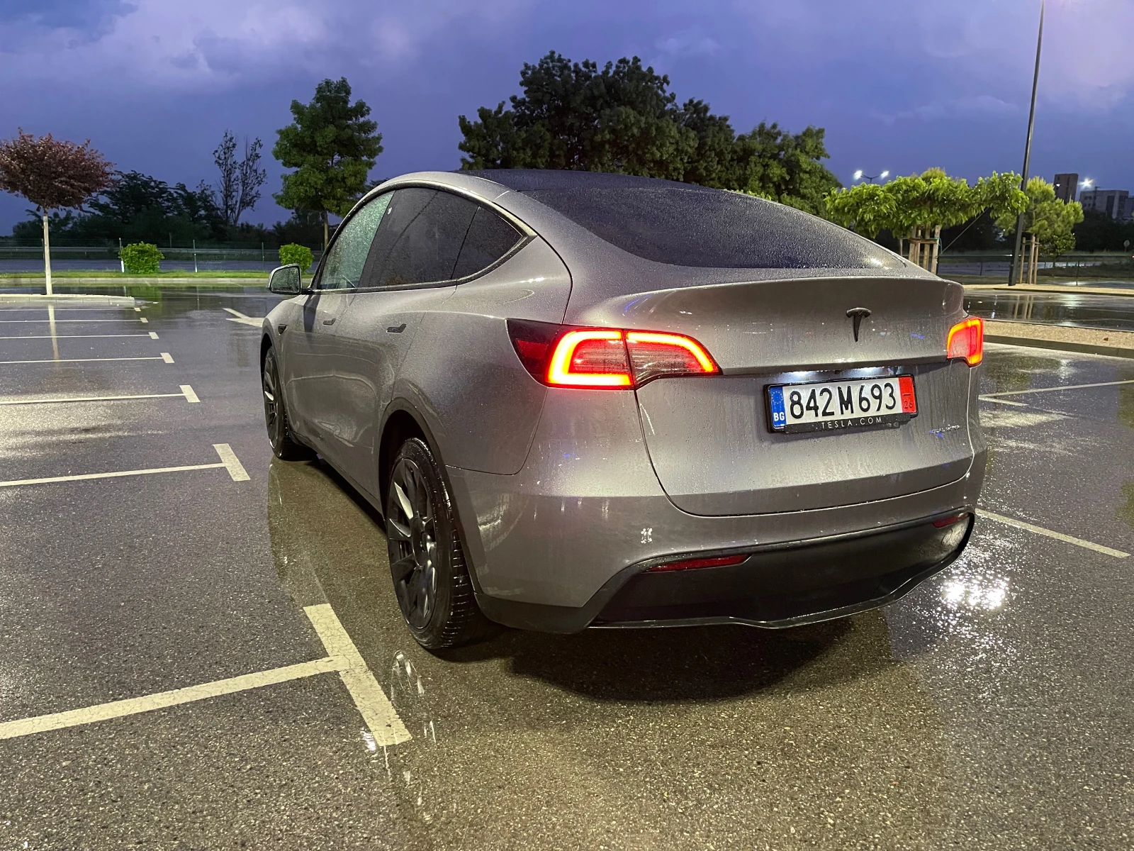 Tesla Model Y Long Range AWD Ryzen, снимка 5 - Автомобили и джипове - 54706841