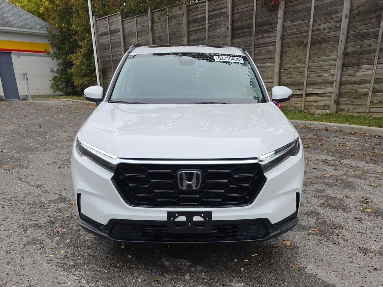 Honda Cr-v * Sport * CARFAX *  | Mobile.bg � ����������� 6