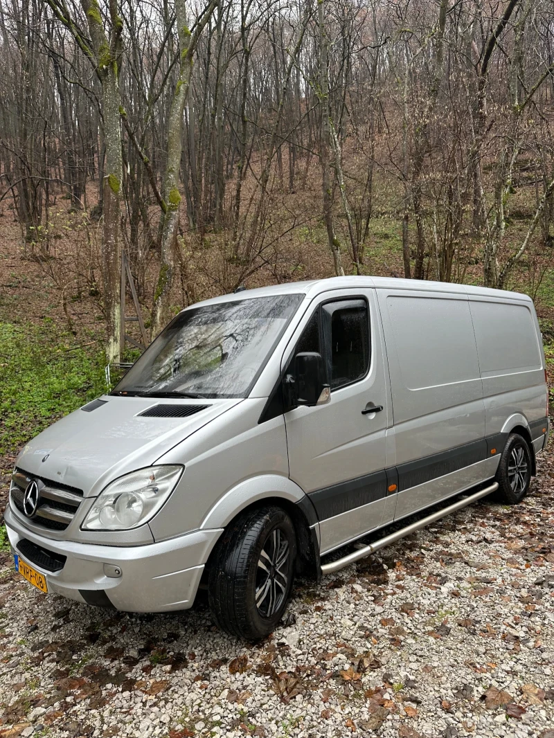 Mercedes-Benz 313 CDI, снимка 3 - Бусове и автобуси - 48175303