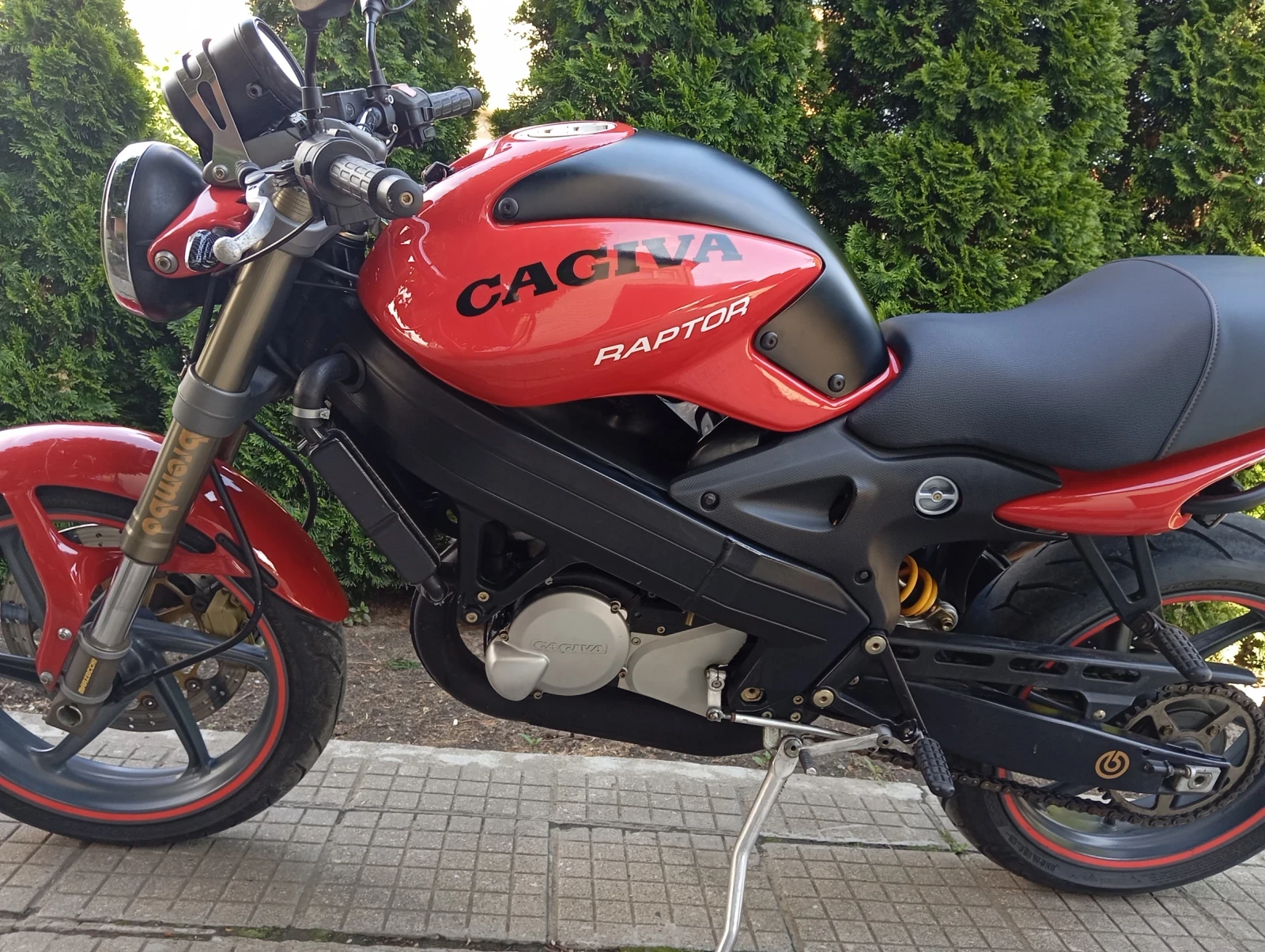 Cagiva Raptor Шосеен , снимка 11 - Мотоциклети и мототехника - 54722695