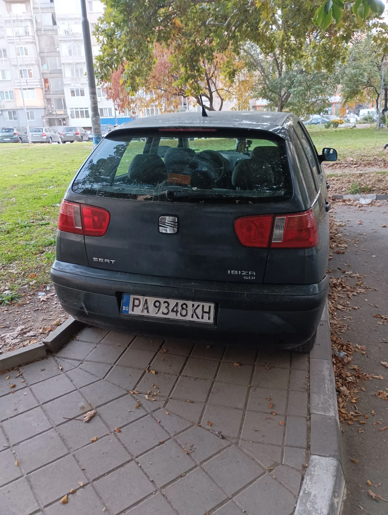 Seat Ibiza  - изображение 4