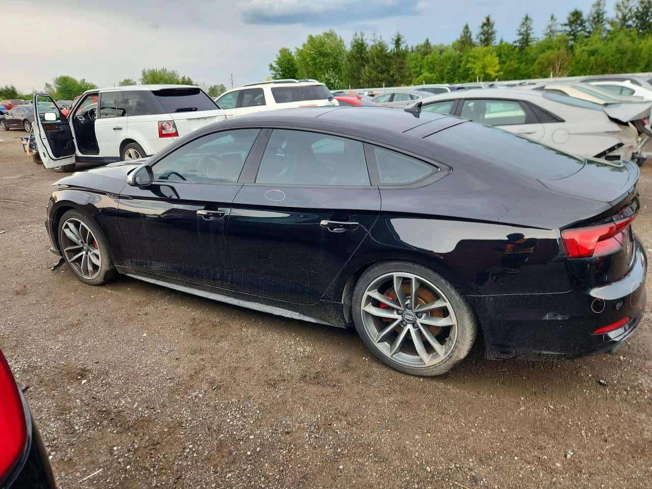 Audi S5 PRESTIGE/ 360 / МАСАЖИ / B&O / ЦЕНА ДО БГ , снимка 2 - Автомобили и джипове - 55505788