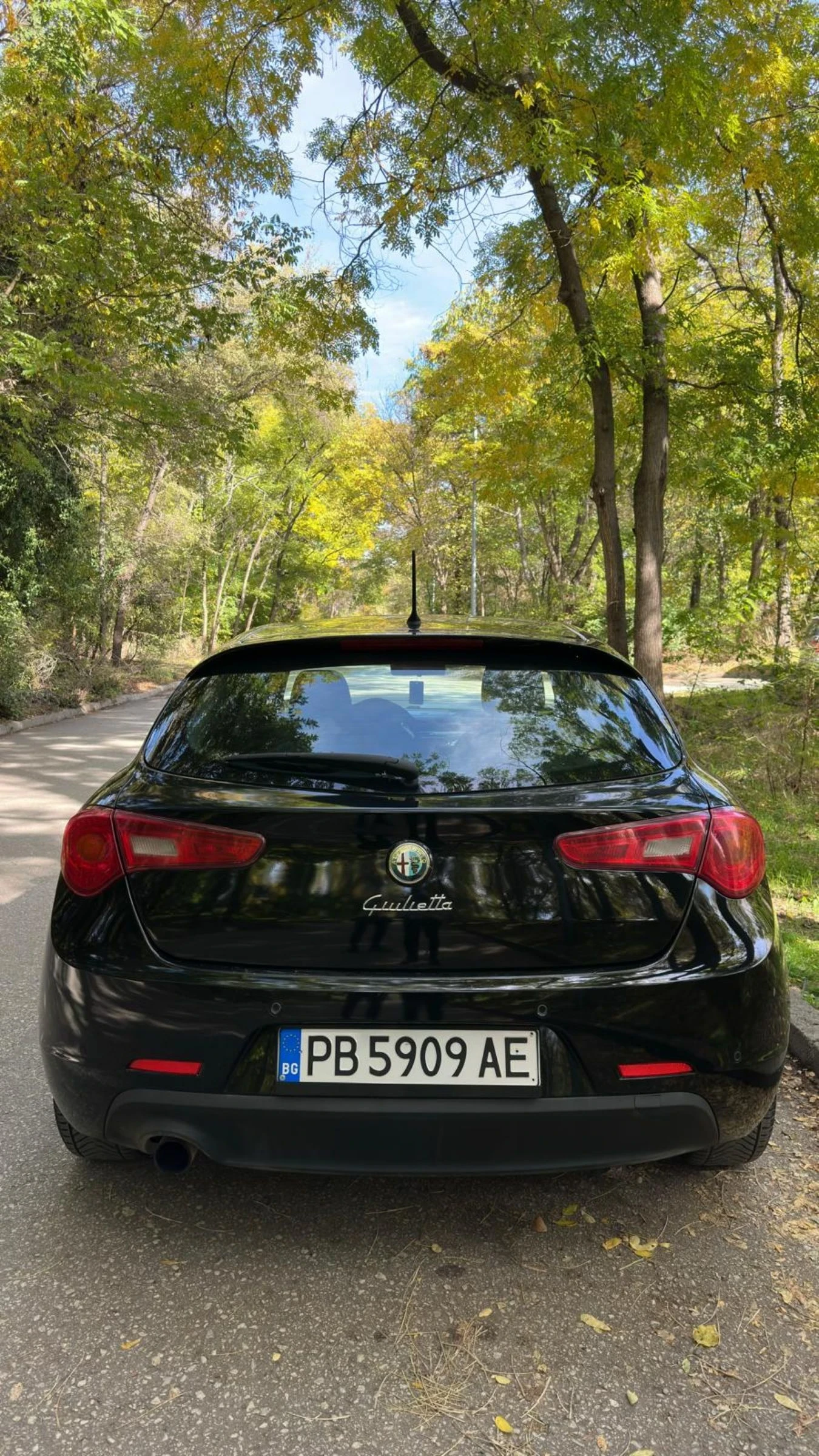 Alfa Romeo Giulietta 1.4 -BRC GAZ, снимка 5 - Автомобили и джипове - 54005293