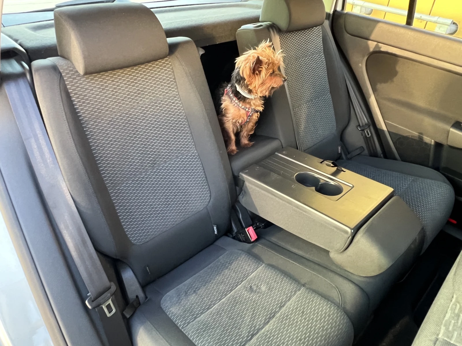 VW Golf Plus АВТОМАТ, БЕНЗИН, СОФИЯ, снимка 13 - Автомобили и джипове - 55186048