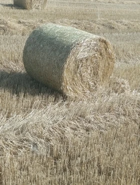 ����������� John Deere F440E | Mobile.bg � ����� ������ 7