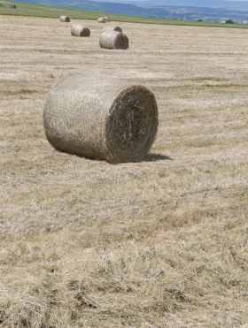 ����������� John Deere F440E | Mobile.bg � ����� ������ 9