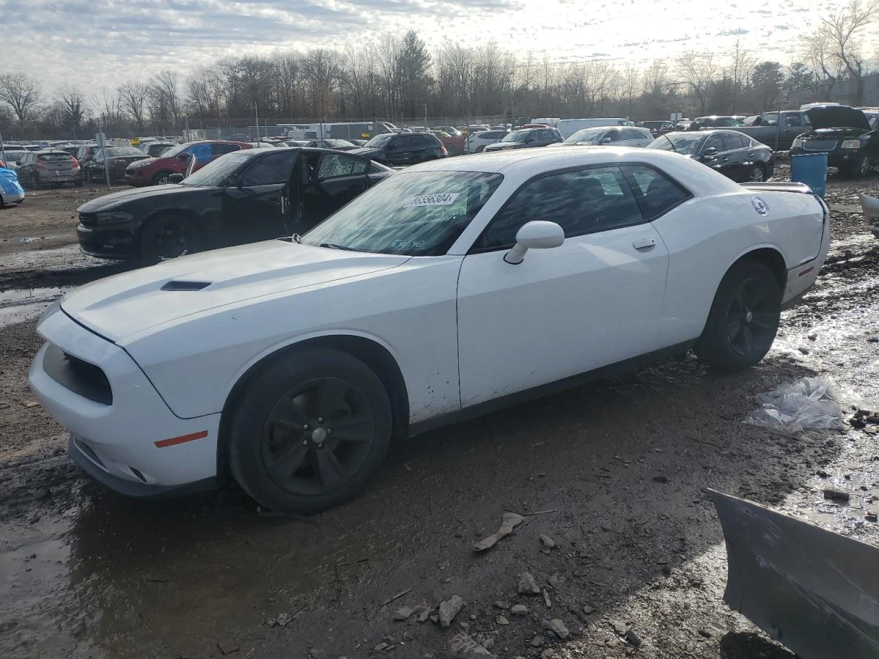 Dodge Challenger SXT / 3.6L V6 Pentastar / Спортен режим / Launch  , снимка 1