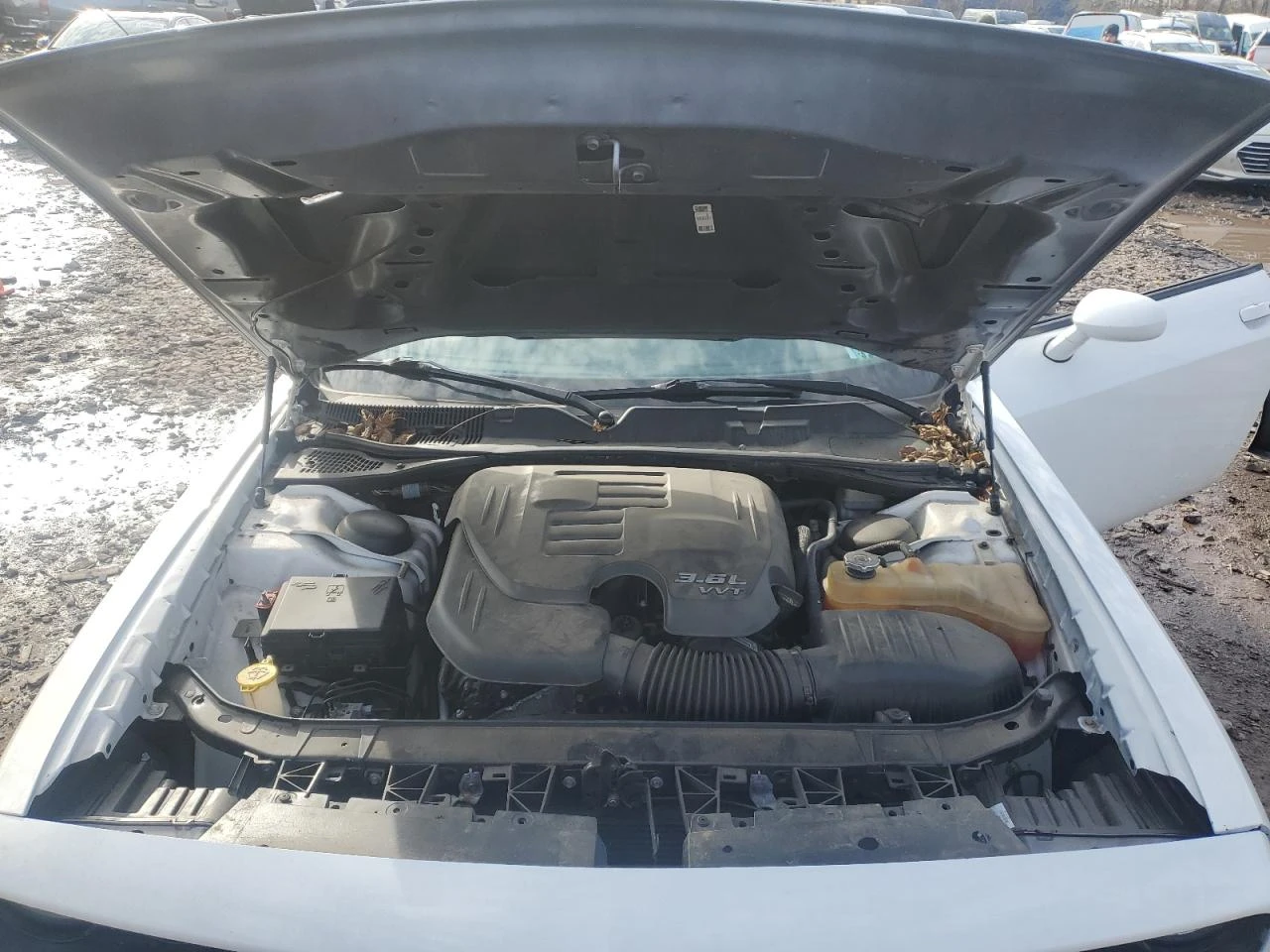 Dodge Challenger SXT / 3.6L V6 Pentastar / ������� ����� / Launch   | Mobile.bg � ����������� 11