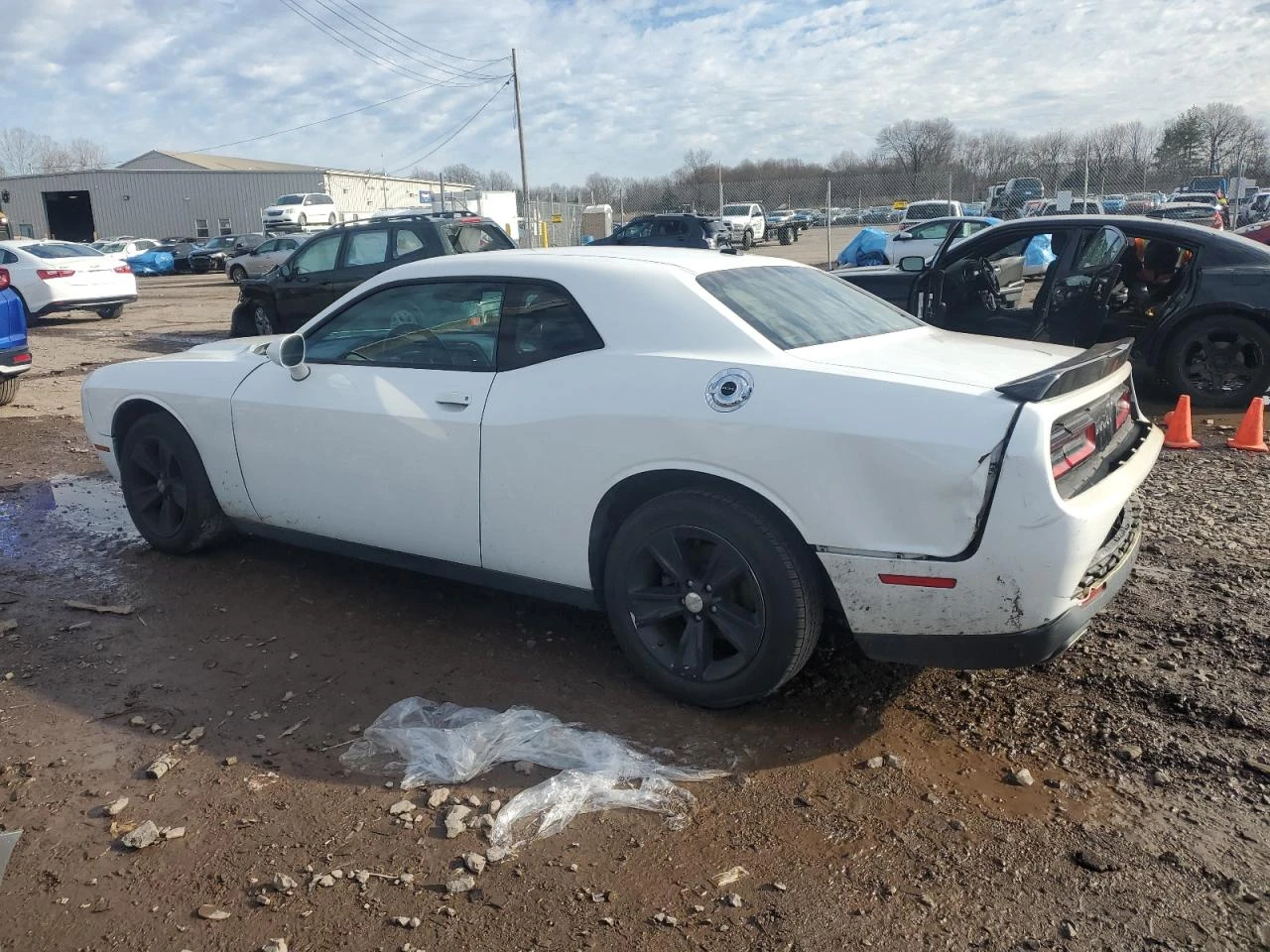 Dodge Challenger SXT / 3.6L V6 Pentastar / Спортен режим / Launch   - изображение 2