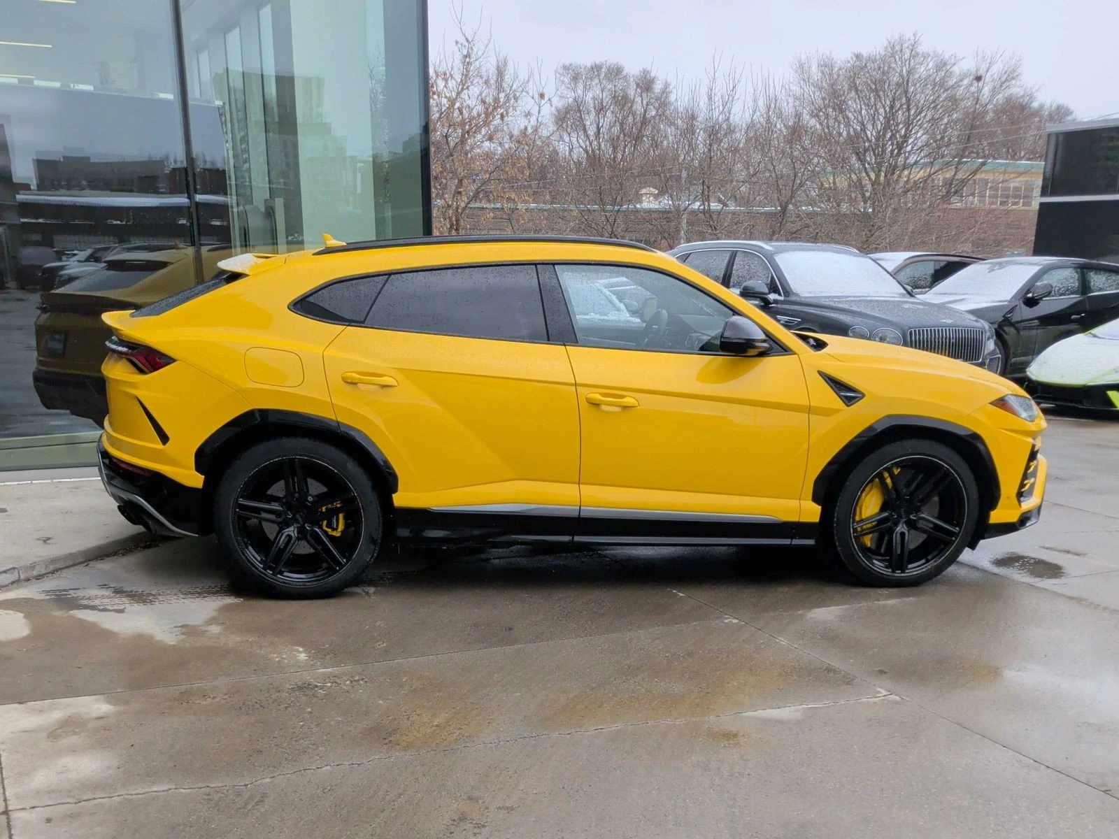 Lamborghini Urus  С РЕГИСТРАЦИЯ & АВТО КРЕДИТ  - изображение 5