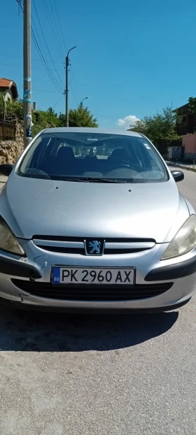  Peugeot 307