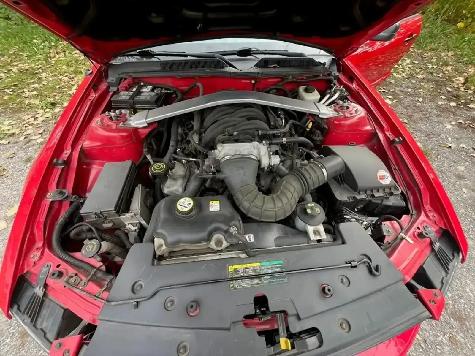 Ford Mustang GT Deluxe 2dr Cpe CARFAX    | Mobile.bg   9