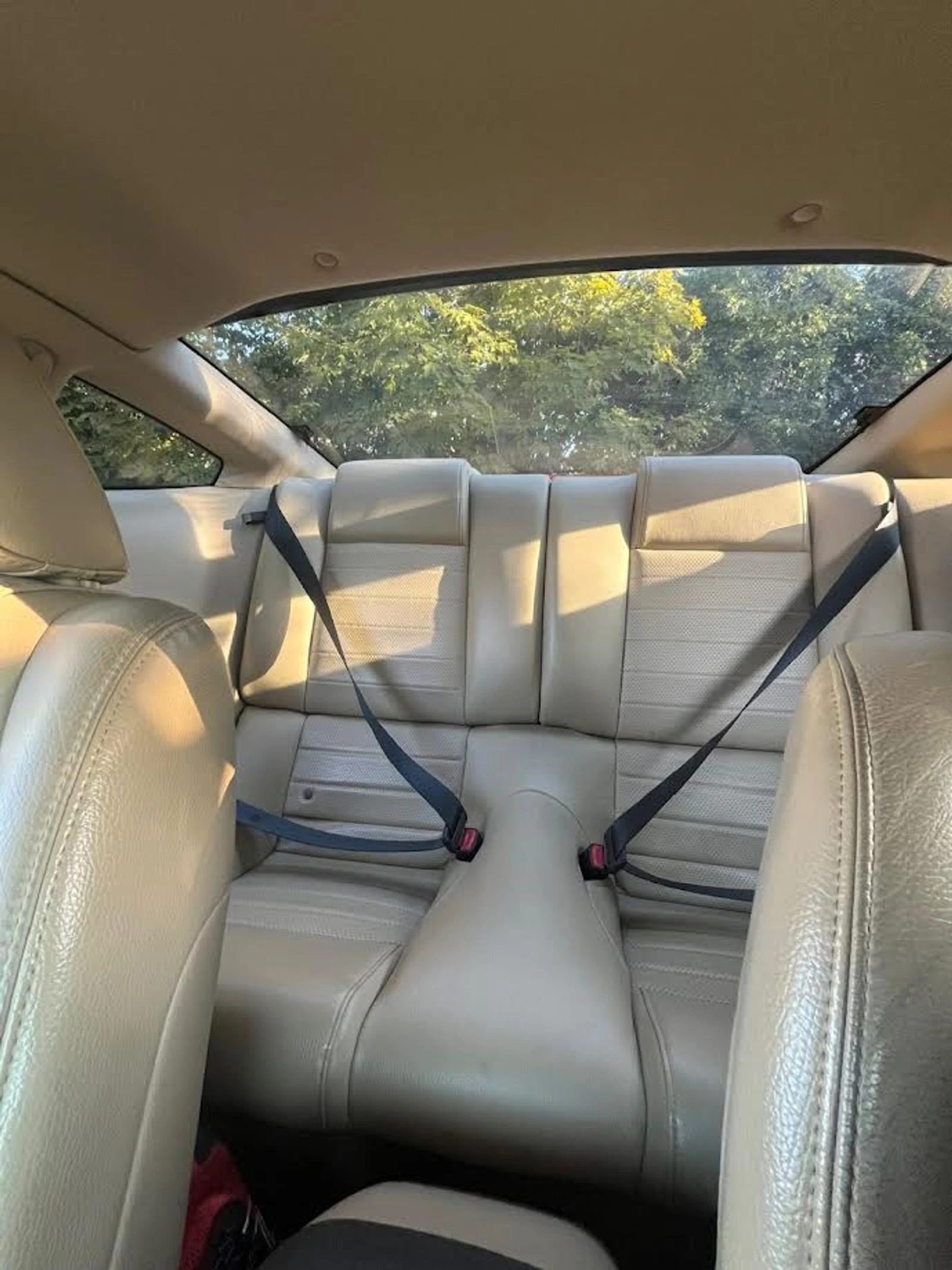 Ford Mustang GT Deluxe 2dr Cpe CARFAX    | Mobile.bg   7