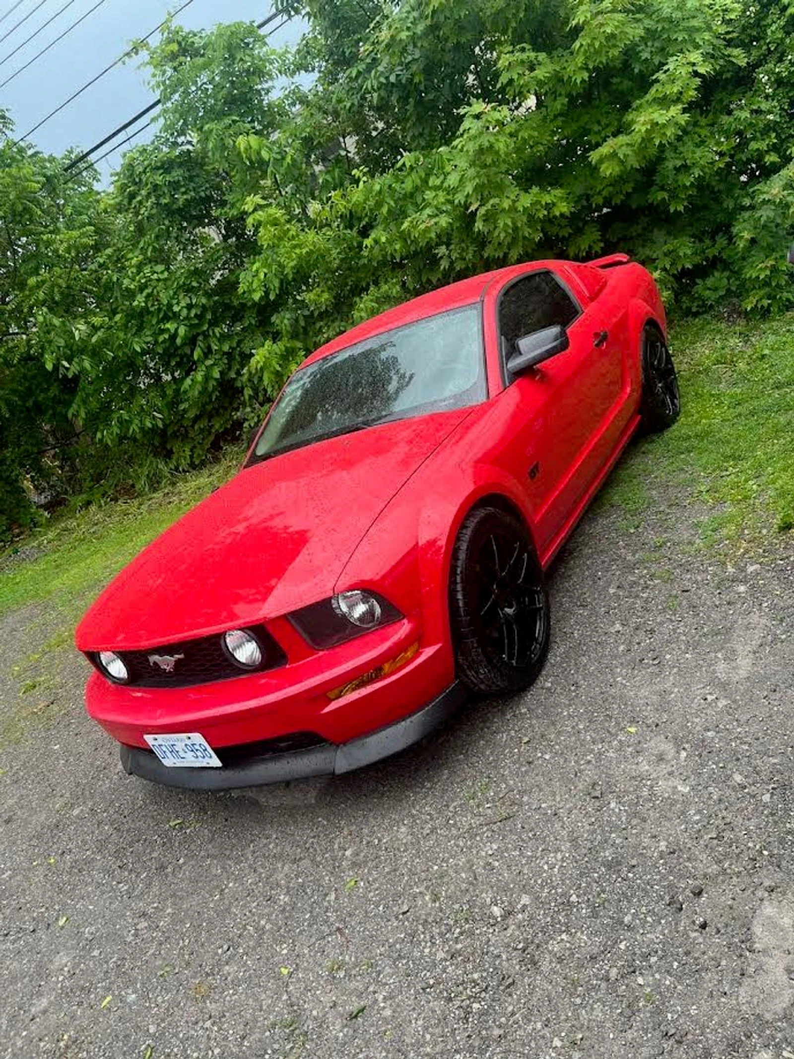Ford Mustang GT Deluxe 2dr Cpe CARFAX    | Mobile.bg   11