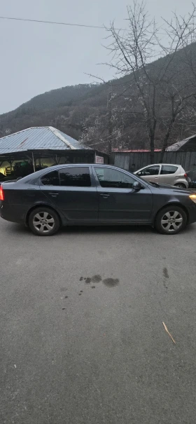 Skoda Octavia 1.9tdi, снимка 2