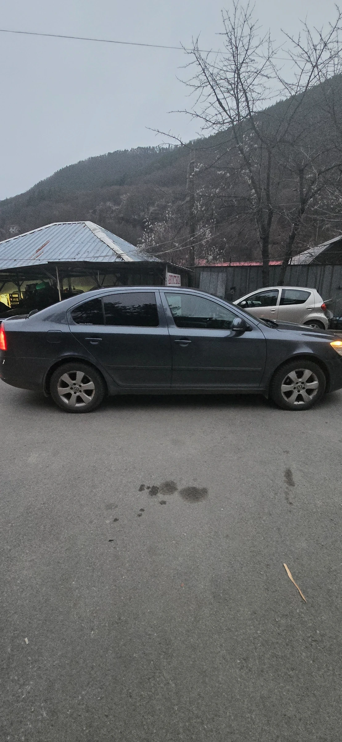 Skoda Octavia 1.9tdi - изображение 2