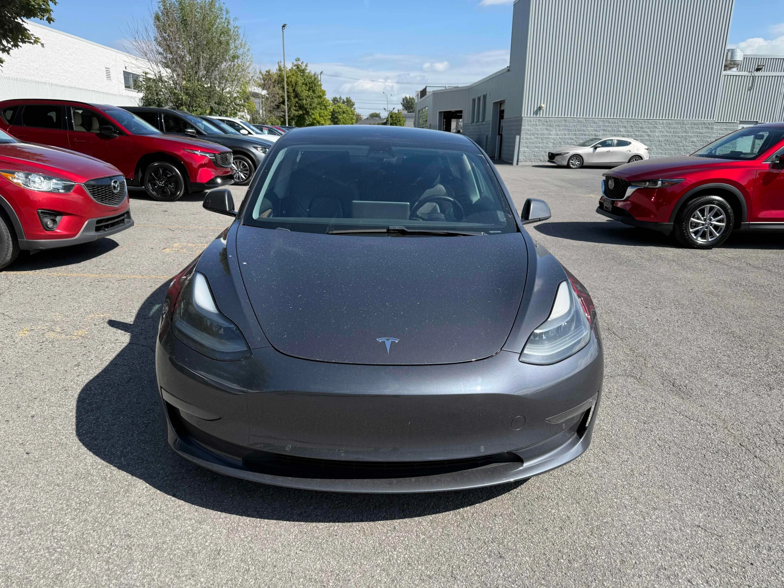 Tesla Model 3 * Standard Range * CARFAX * ОПЦИЯ ЗА ФИНАНСИРАНЕ, снимка 15 - Автомобили и джипове - 56128175