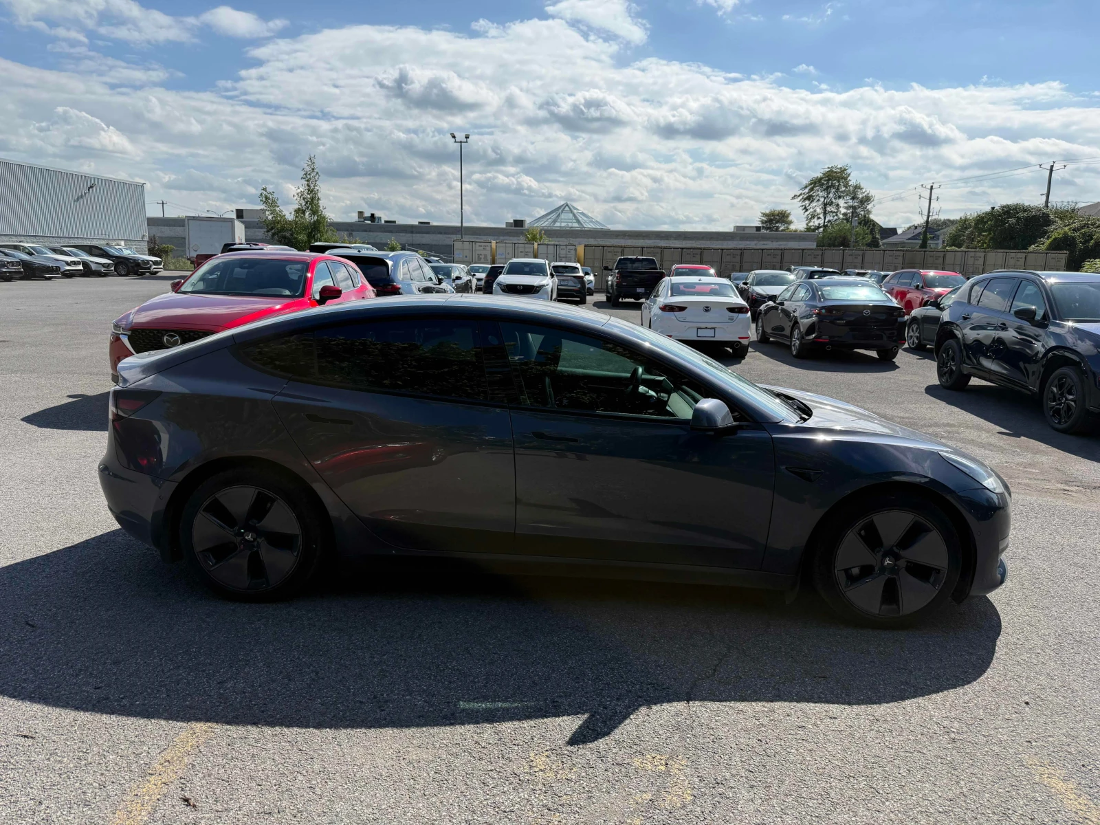 Tesla Model 3 * Standard Range * CARFAX * ОПЦИЯ ЗА ФИНАНСИРАНЕ, снимка 12 - Автомобили и джипове - 56128175