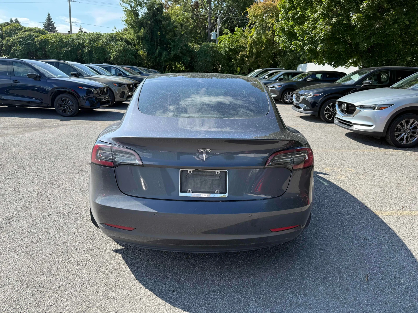 Tesla Model 3 * Standard Range * CARFAX * ОПЦИЯ ЗА ФИНАНСИРАНЕ, снимка 4 - Автомобили и джипове - 56128175