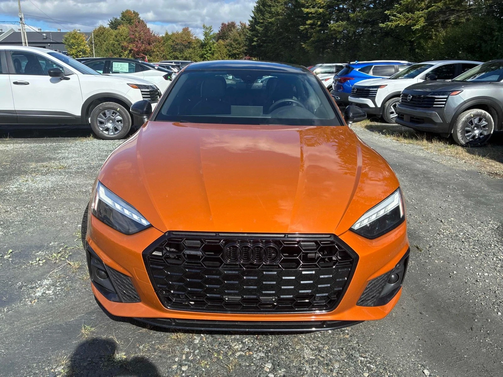 Audi A5 Progressiv Цена до България & АвтоКредит, снимка 2 - Автомобили и джипове - 56181529