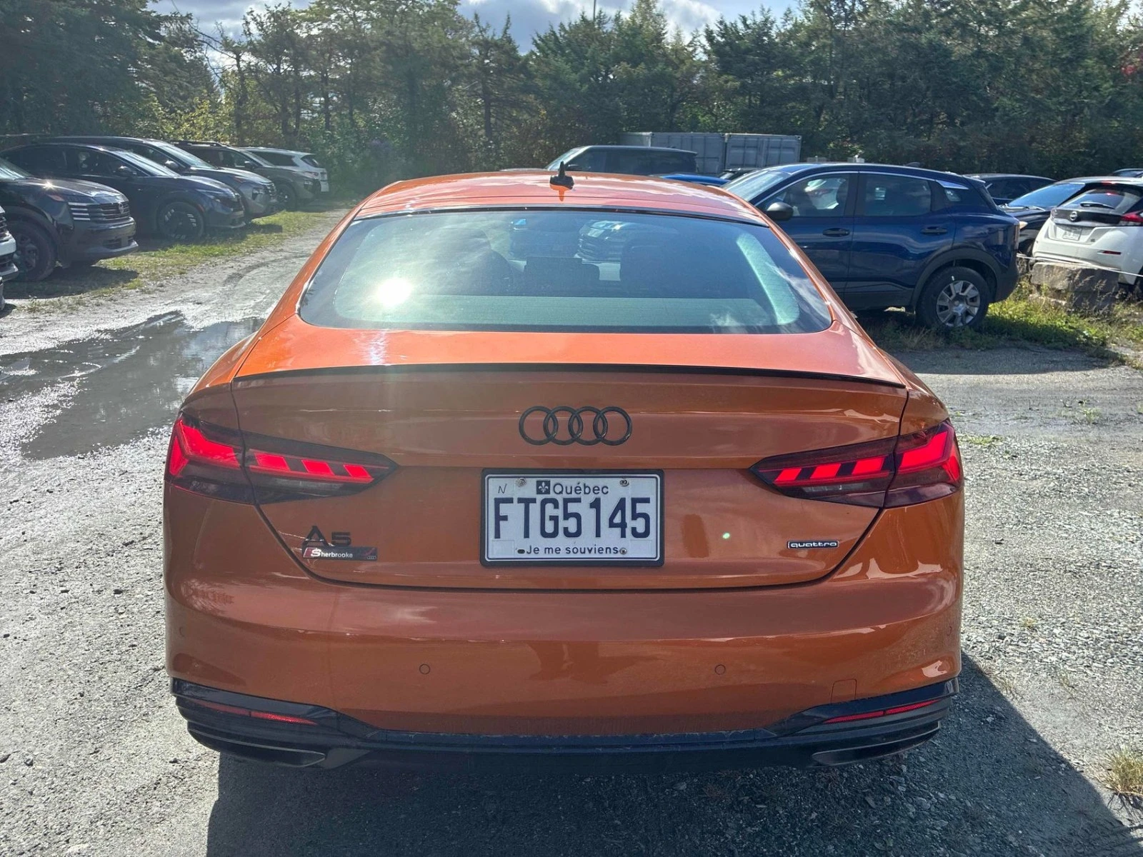 Audi A5 Progressiv Цена до България & АвтоКредит, снимка 5 - Автомобили и джипове - 56181529