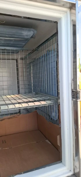 Toyota Hilux 2.5D4D  2WD - 7900 € / 15451.06 лв. - 50575390 8