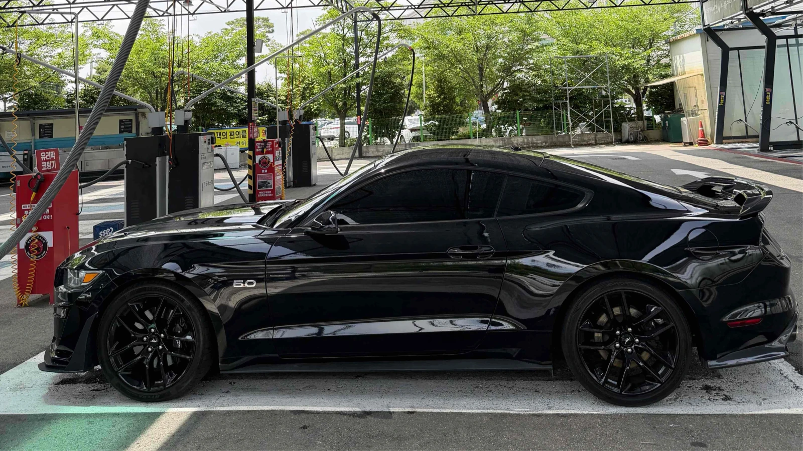 Ford Mustang GT 5.0 SHELBY 500 KIT* RAUSCH* CARBON* КРАЙНА ЦЕНА, снимка 5 - Автомобили и джипове - 54750797
