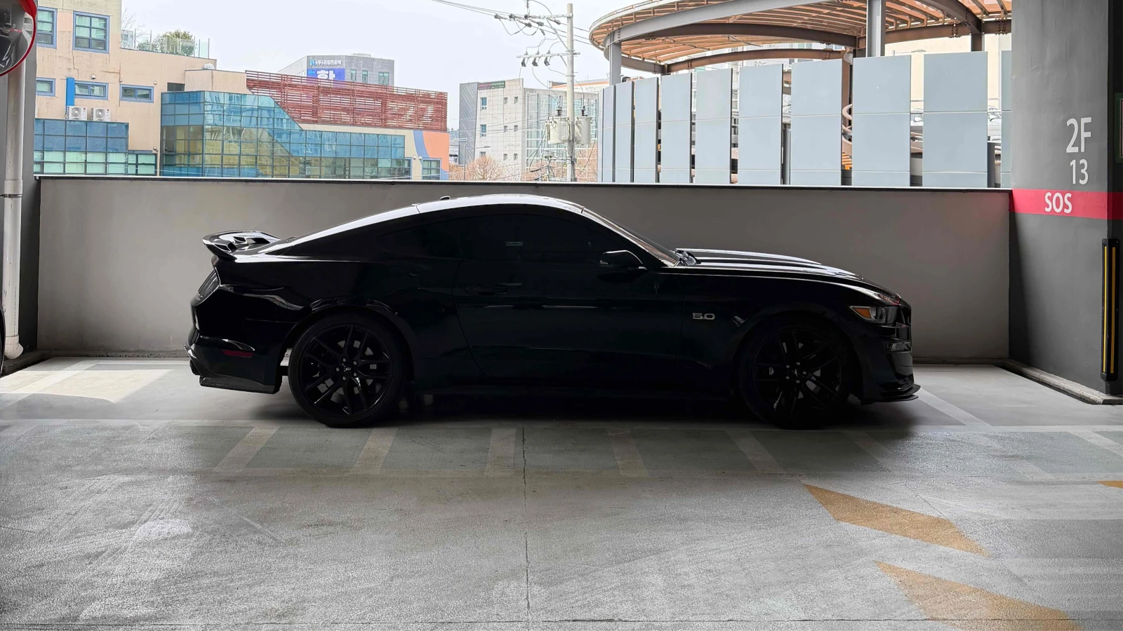Ford Mustang GT 5.0 SHELBY 500 KIT* RAUSCH* CARBON* КРАЙНА ЦЕНА, снимка 7 - Автомобили и джипове - 54750797