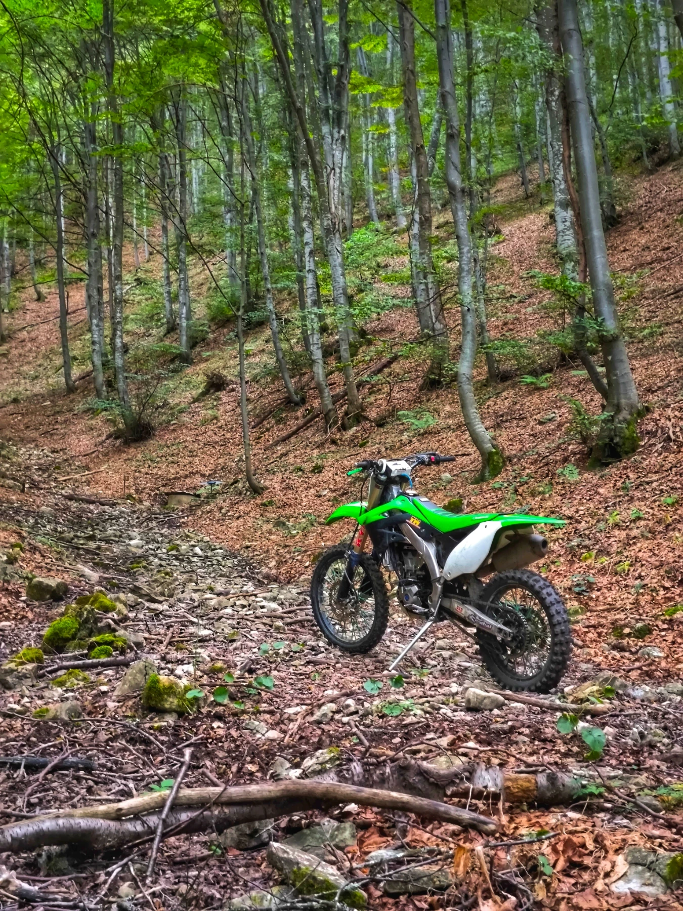 Kawasaki Kx  - изображение 4