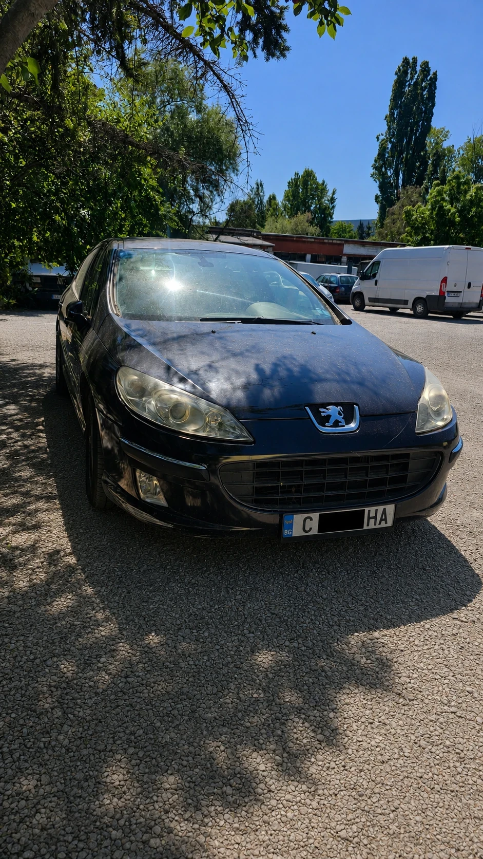 Peugeot 407