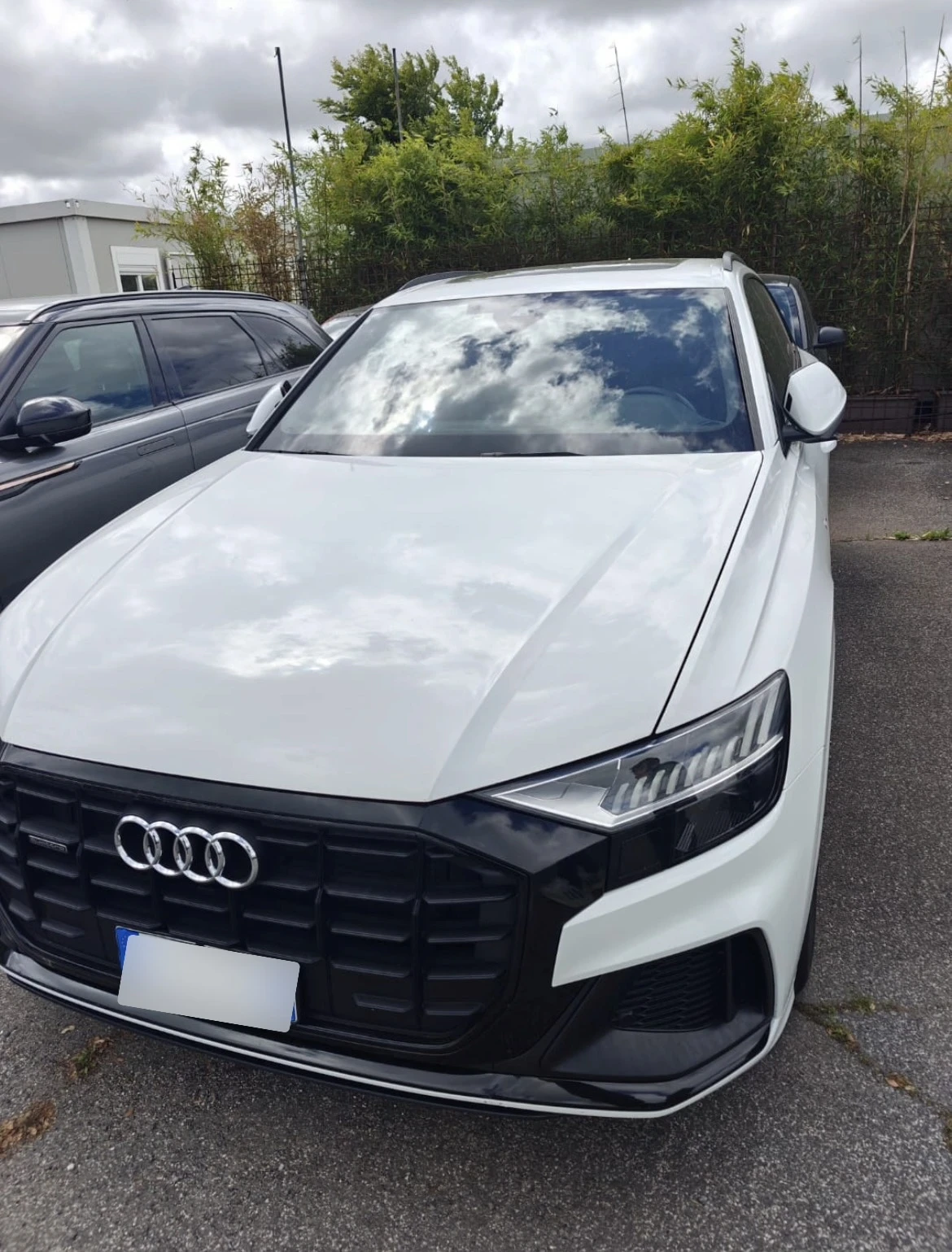 Audi Q8 50 TDI quattro tiptronic Sport