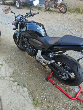 Honda Hornet, снимка 4