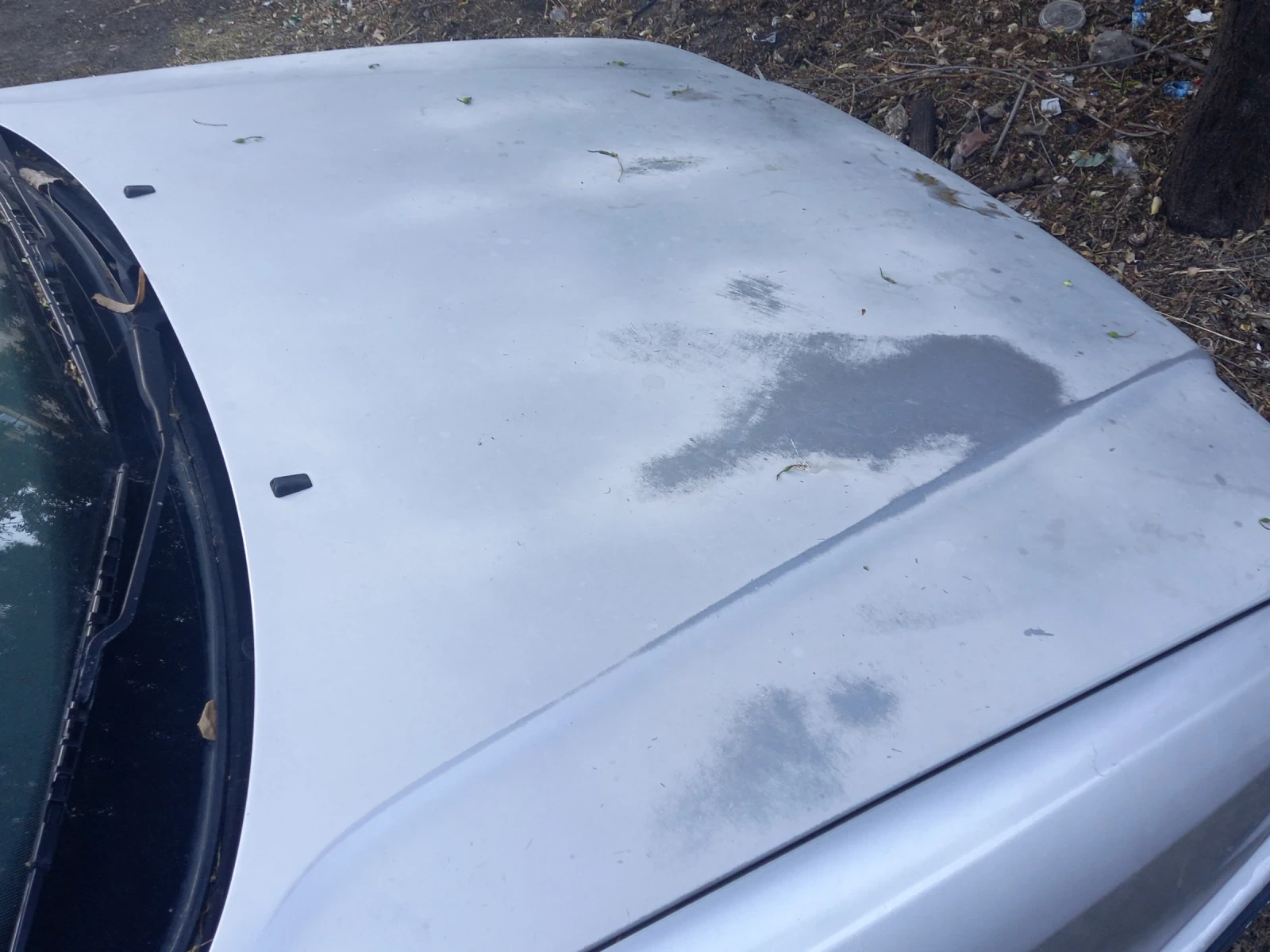 Audi 80  - изображение 4