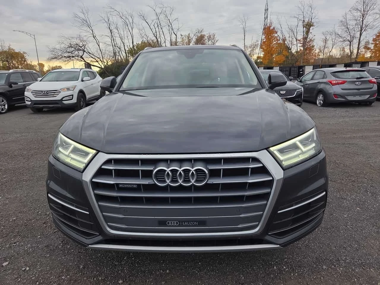 Audi Q5 * Progressiv * CARFAX * ����� �� ����������� | Mobile.bg � ����������� 6
