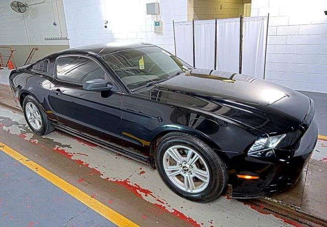 Ford Mustang 3.7 - изображение 3