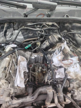 Audi Q7 | Mobile.bg � ����� ������ 9