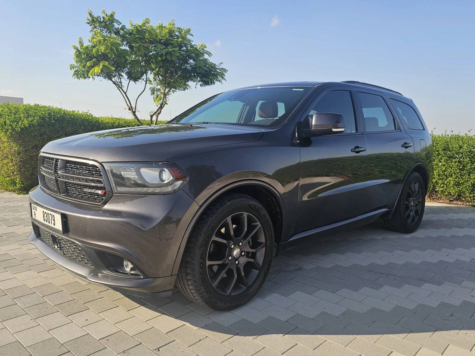 Dodge Durango R/T - изображение 10