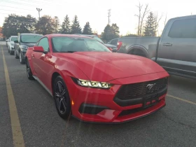 Ford Mustang * Fastback Ecoboost * CARFAX *  | Mobile.bg � ����� ������ 2