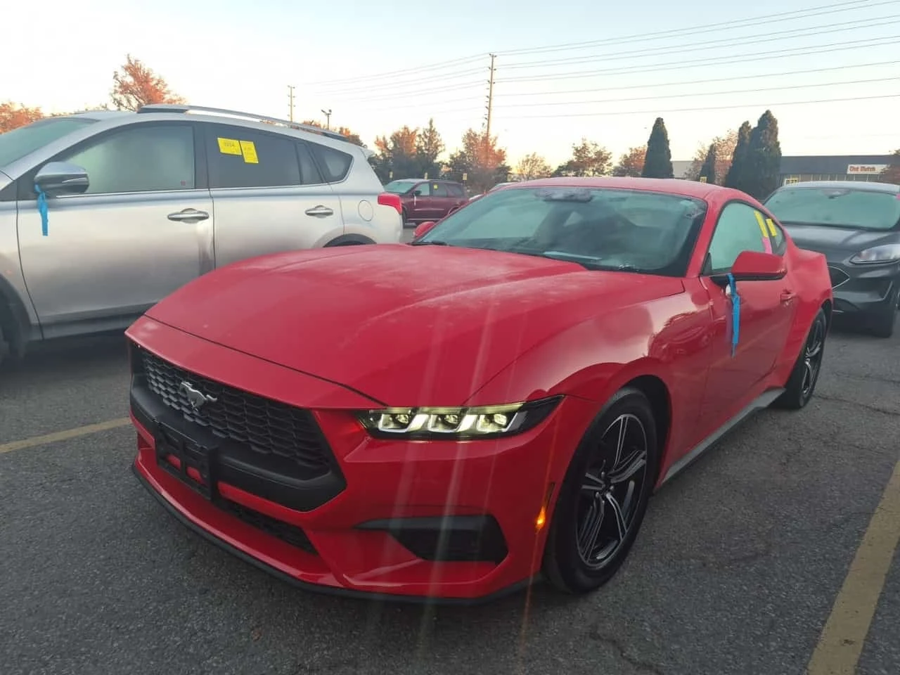 Ford Mustang * Fastback Ecoboost * CARFAX * 