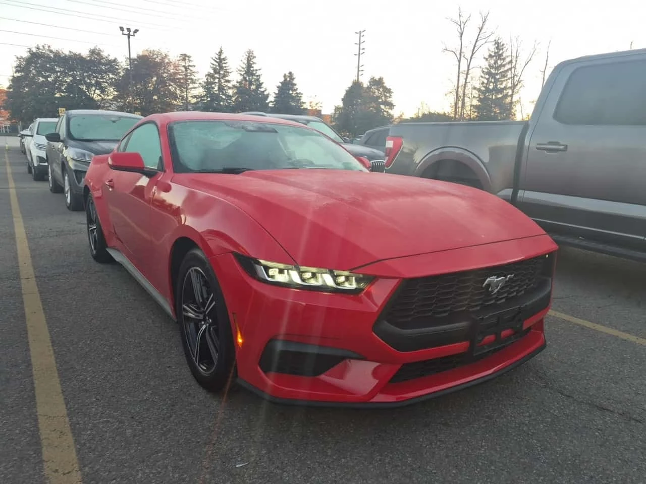 Ford Mustang * Fastback Ecoboost * CARFAX *  | Mobile.bg � ����������� 2